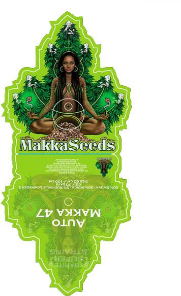 Makka 47 Auto - Illustration (600x600), Png Download