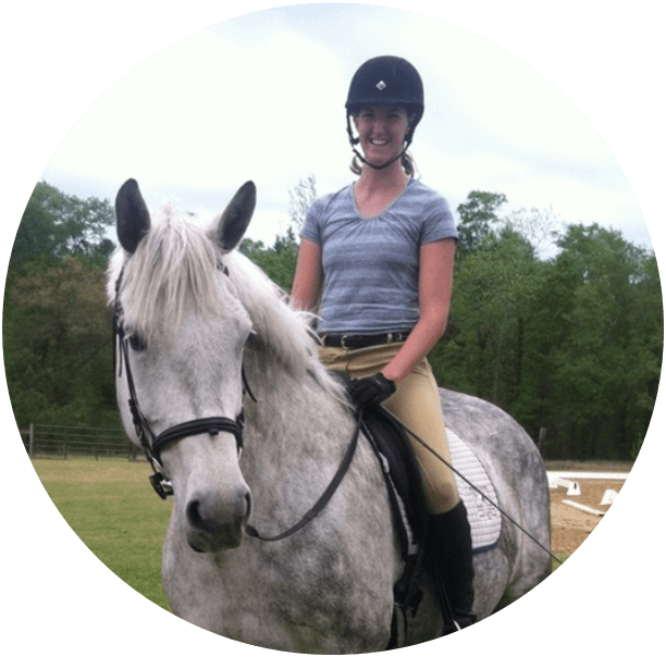 Stallion (612x604), Png Download