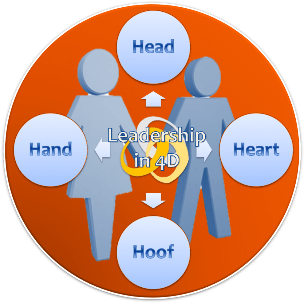 Heart Head Hands Leadership - Circle (997x1024), Png Download