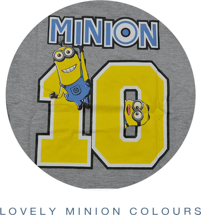 Boys Official Minions Long Sleeve T-shirt Brand New - Cartoon (1000x1000), Png Download
