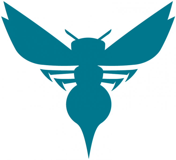 Charlotte Hornets Logos Iron On Stickers And Peel-off - Nuevo Logo Charlotte Hornets (750x930), Png Download