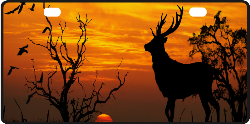 Sunset Deer (1000x1000), Png Download