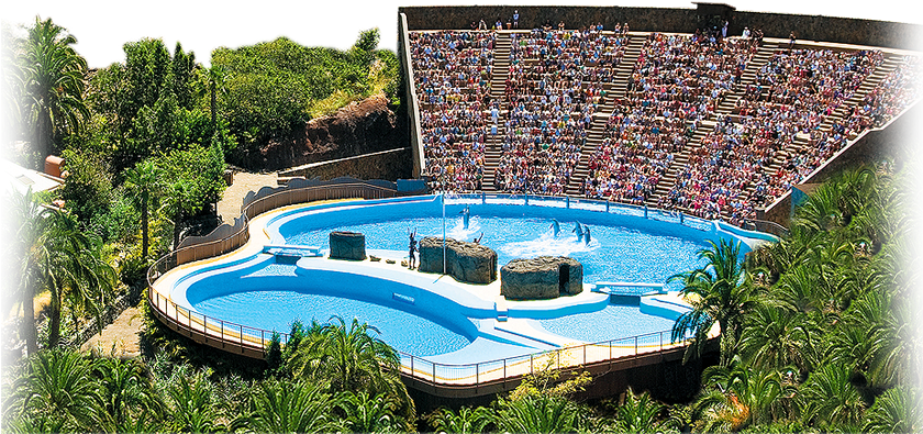 Palmitospark-2 (924x458), Png Download