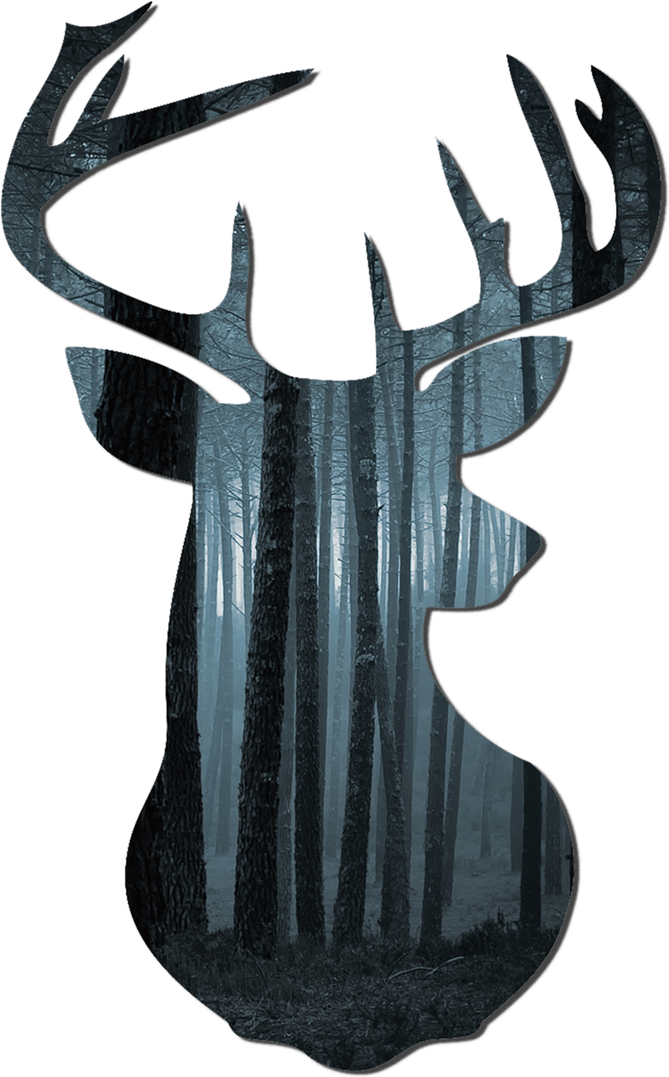 Elk (1000x1616), Png Download