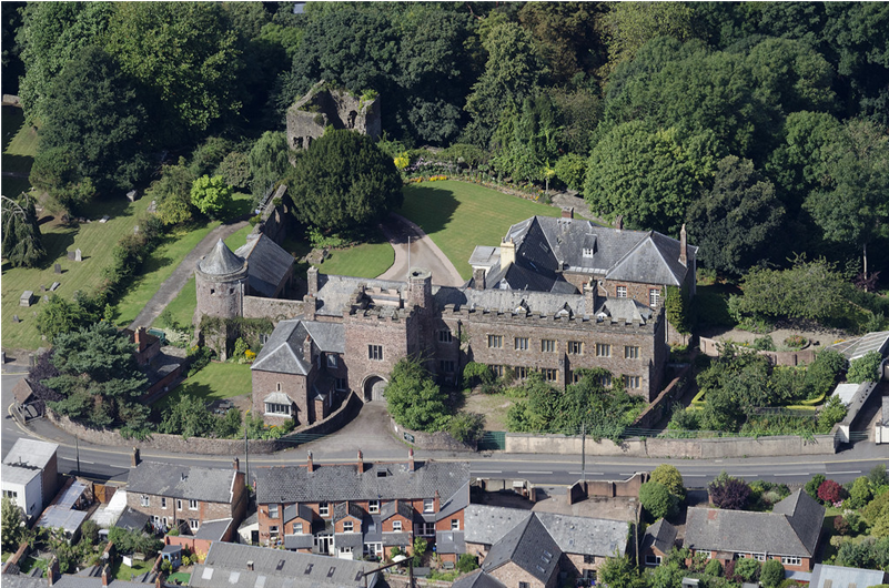 Click On A Row And Scroll To Display More Details About - Tree (800x800), Png Download