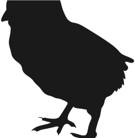 Rooster Clipart Transparent Background - Silhouette Chick Svg (640x480), Png Download