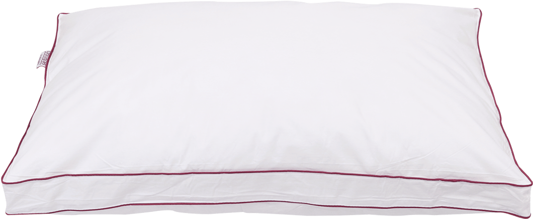 Pillow-front - Pillow (1200x800), Png Download