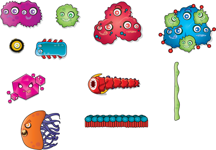 Preview (769x531), Png Download