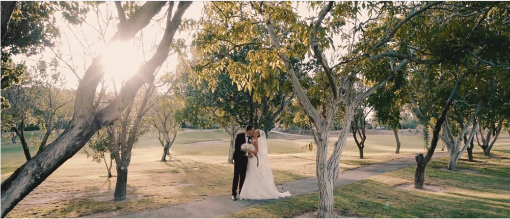 Experienced And Professional Wedding Photographers - Photograph (1000x625), Png Download