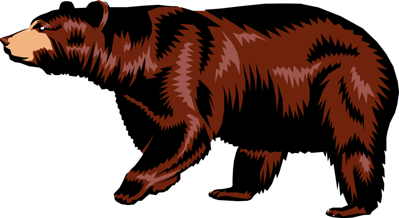 Vector Illustration Of Large Brown Bear Walking - Grizzly Bear (1282x700), Png Download