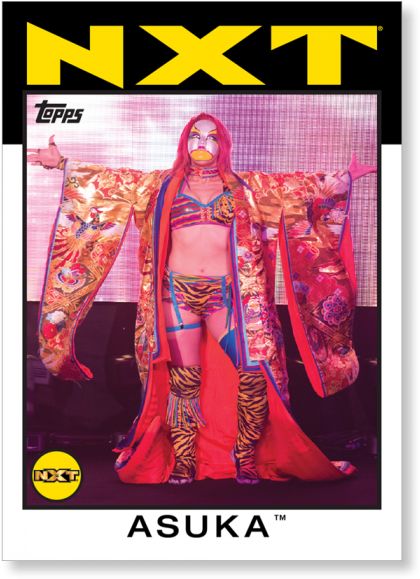 Asuka 2016 Wwe - Poster (700x700), Png Download