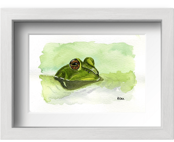 Acuarela Sapo Con Marco - Picture Frame (600x800), Png Download