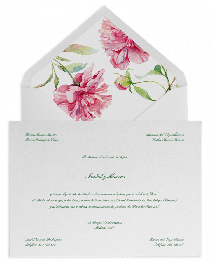 Peonias Acuarela - Gilliflower (720x900), Png Download