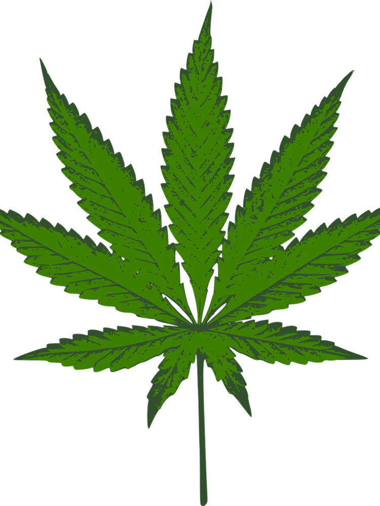 Medical Marijuana Is Legal In Arizona - Dark Green Weed Leaf (750x999), Png Download