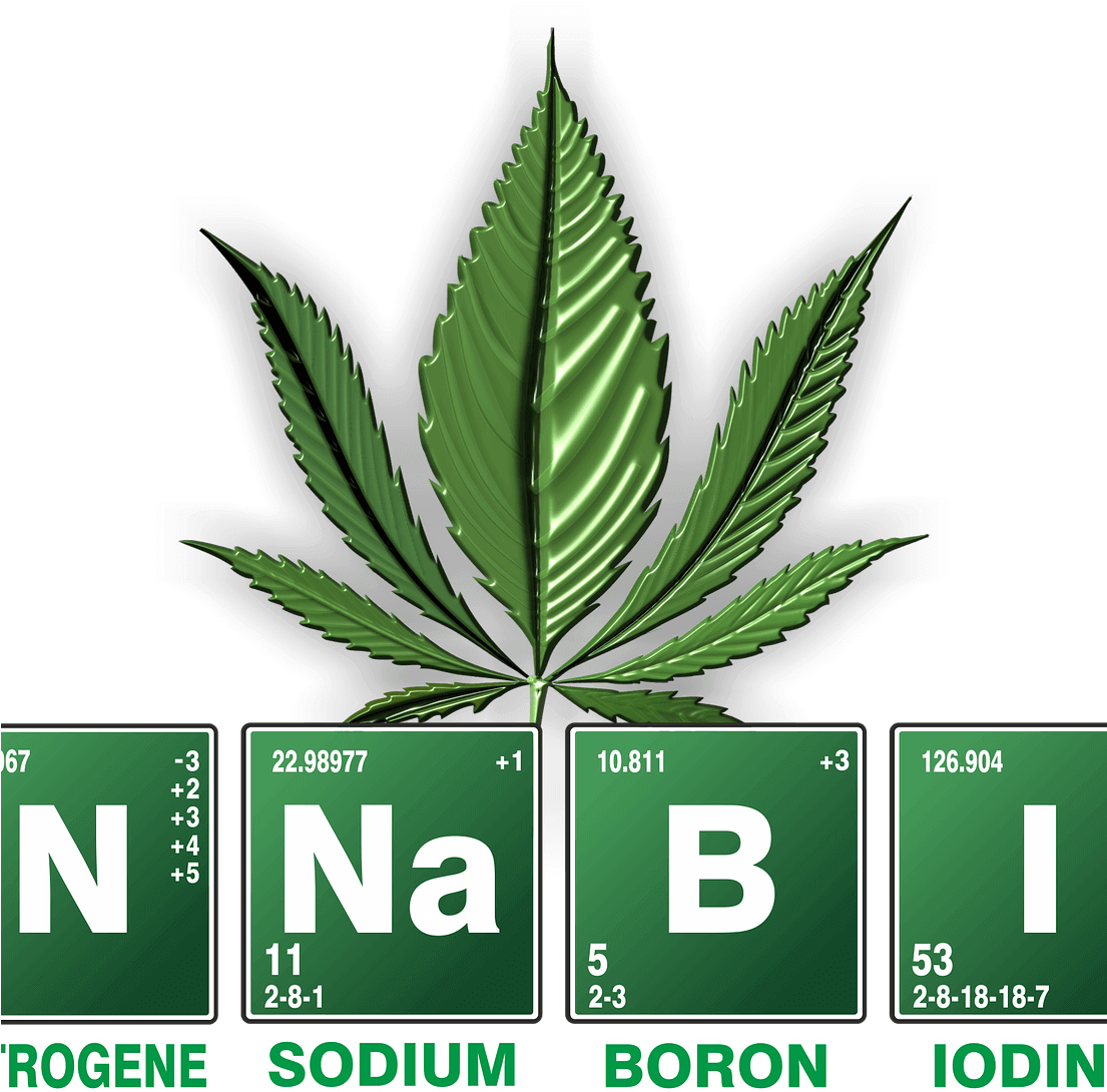 Join Sc Compassionate Care Alliance For A Fun Walk - Studies About Marijuana (1104x1104), Png Download
