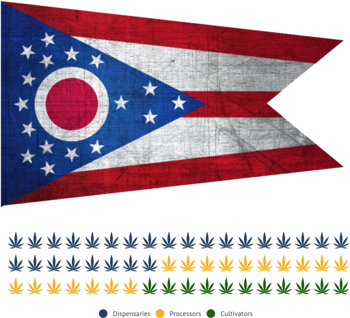 Ohio's Medical Cannabis Market - Ohio State Flag (790x715), Png Download