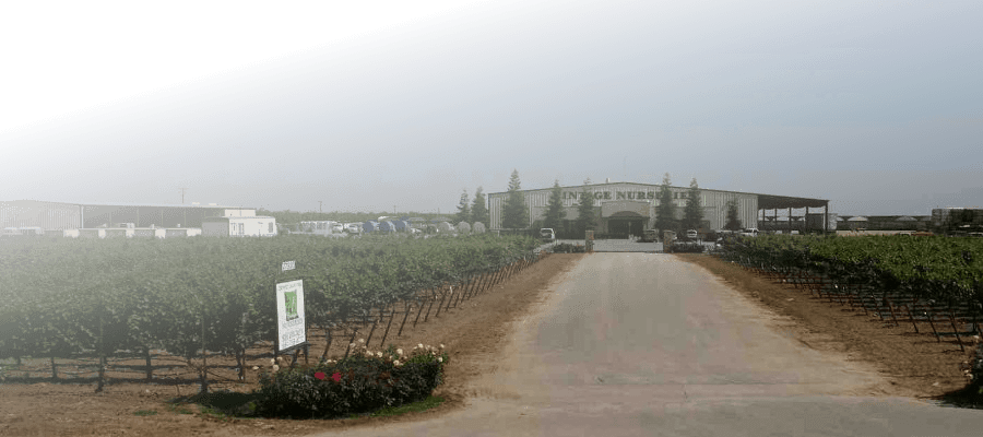 View Current Issue - Road (900x400), Png Download