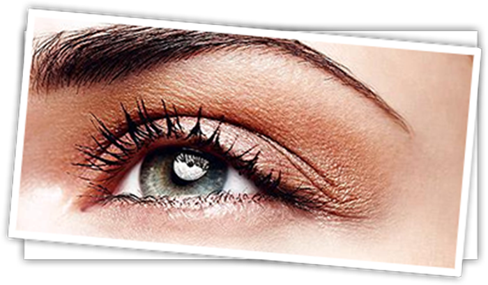 Eyelash & Eyebrow Tinting - Eyebrow Shapes (700x447), Png Download