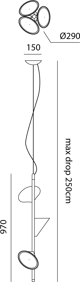 Product Dimensions (989x1200), Png Download