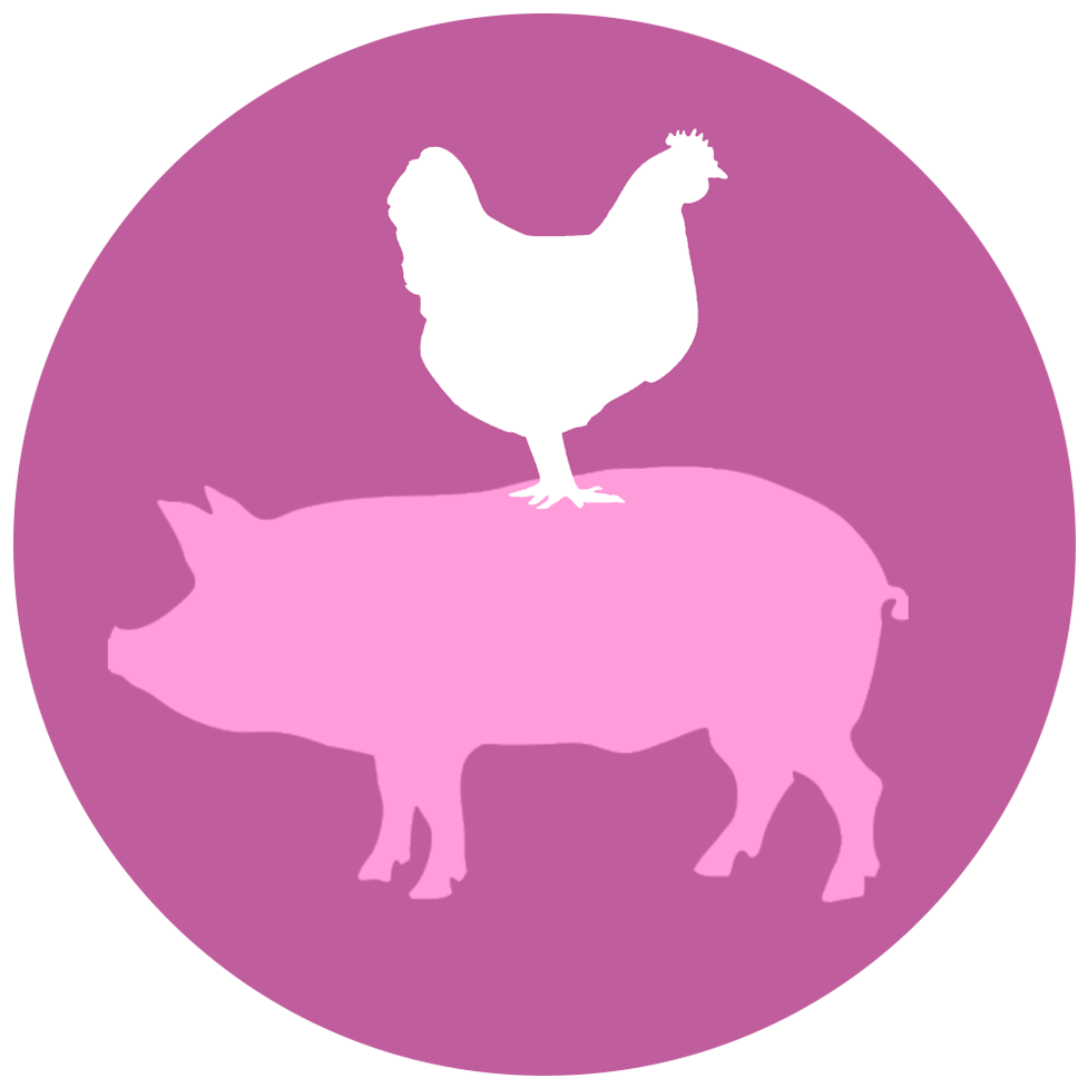 Bacon & Eggs - Rooster (999x999), Png Download