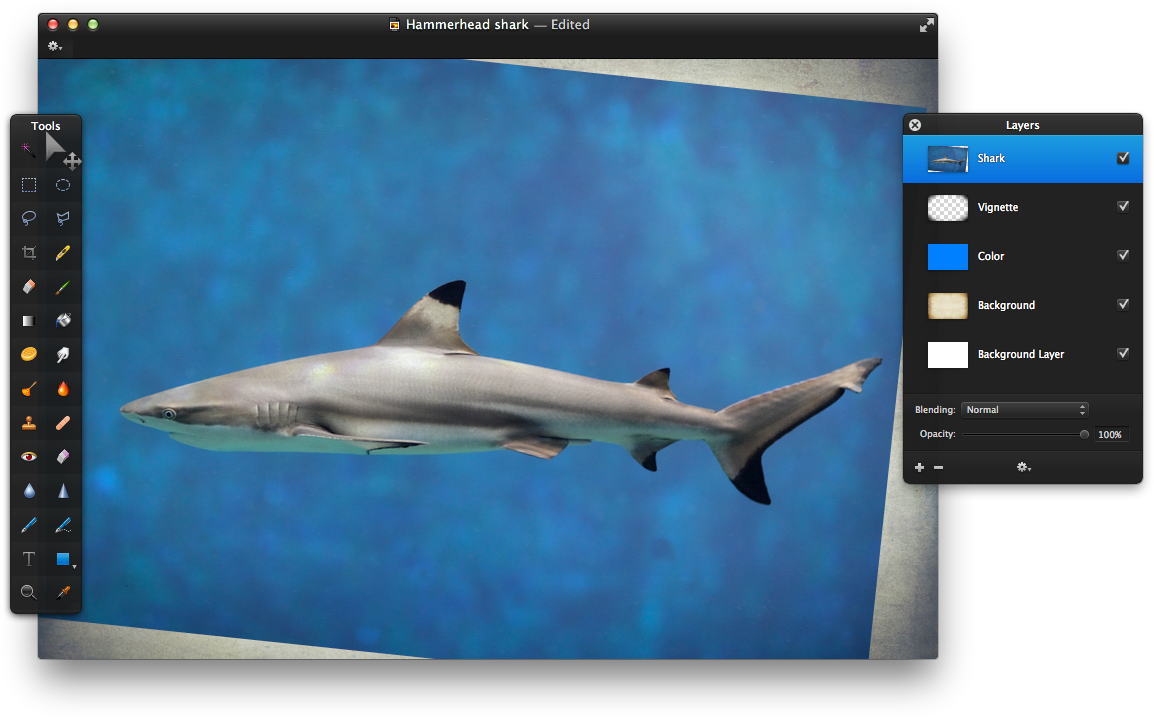 Also Rotate The Image Until The Shark's Body Is Parallel - Dark Honey Color Paint (1177x738), Png Download