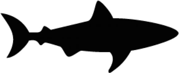Hammerhead Shark Clipart Shark Shadow - Shark Svg (640x480), Png Download