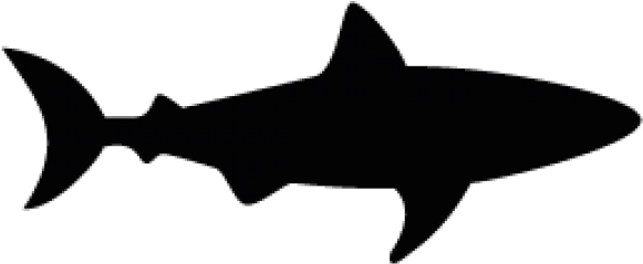 Free Free 203 Shark Attack Svg SVG PNG EPS DXF File