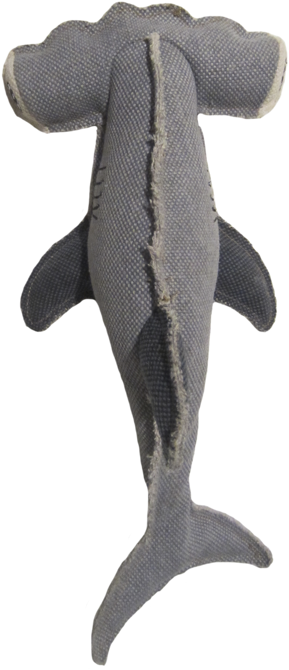 Join The Fastest Growing Pet Community For Free - Trout (1155x1400), Png Download