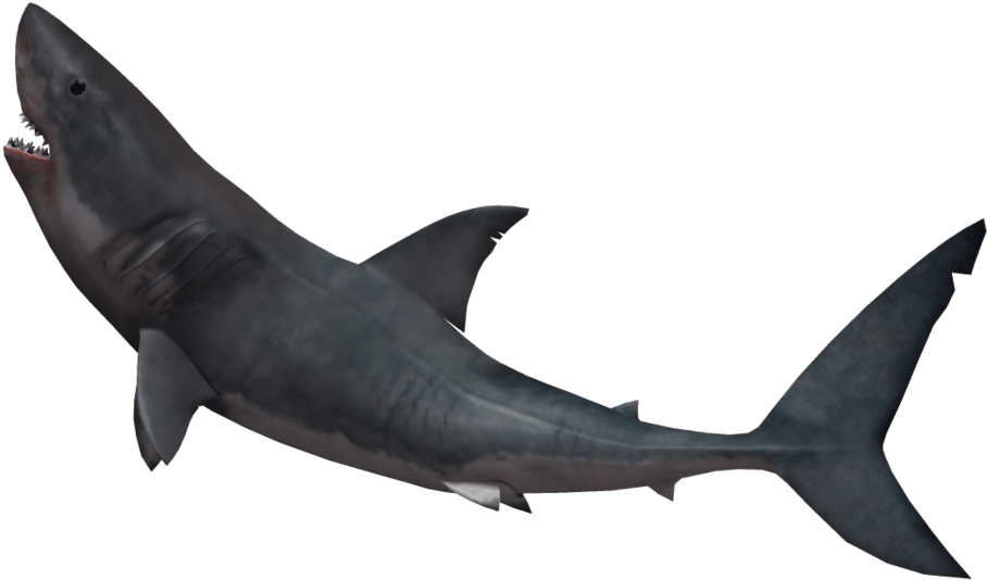 Shark Jumping No Background (1024x639), Png Download