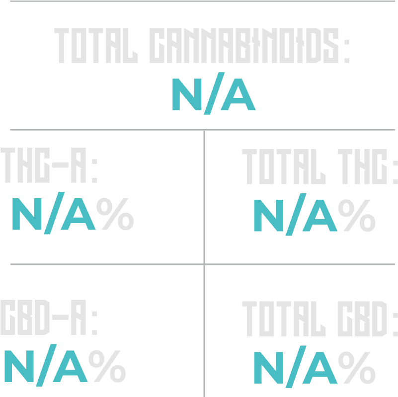 Hammerhead Shark - Graphic Design (1000x1000), Png Download