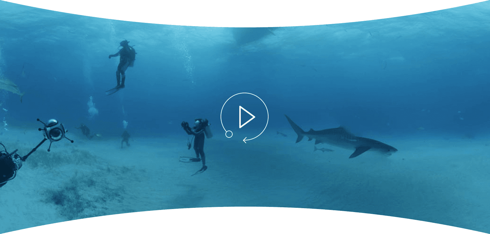 Dive In With Dr - Underwater (1626x778), Png Download