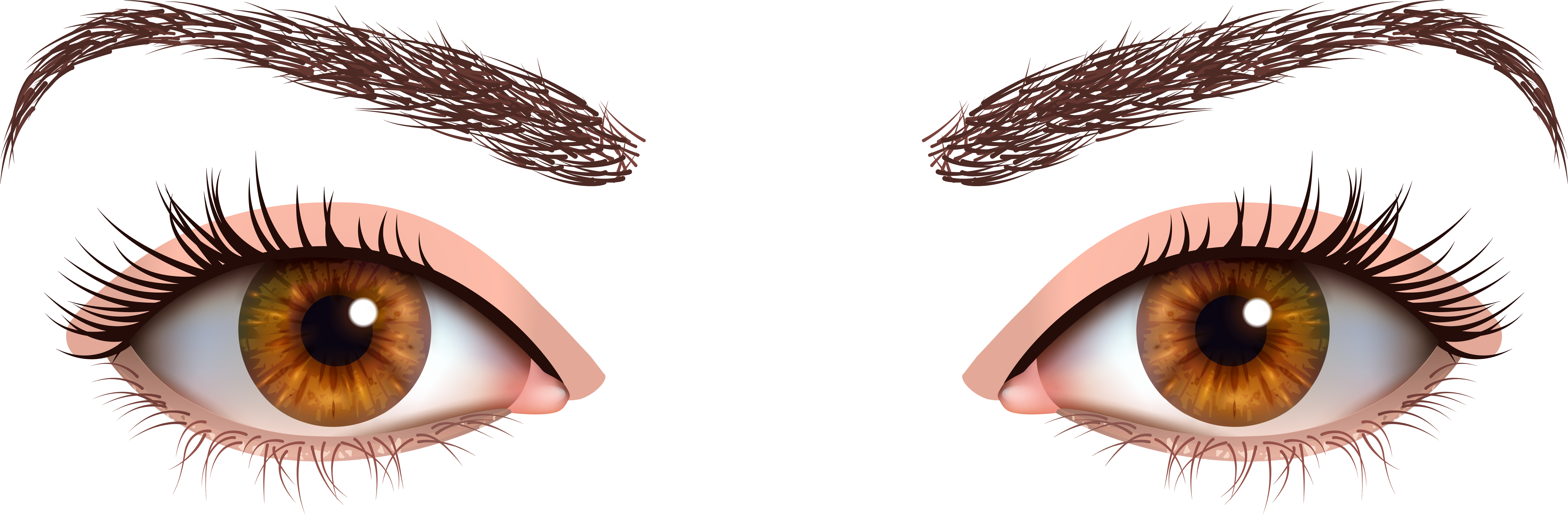 Brown Female Eyes Png Clipart - Green Eyes Png (8000x2746), Png Download