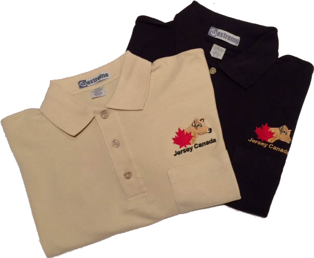 Jersey Store Folded Polos Cut Out - Polo Shirt (640x528), Png Download