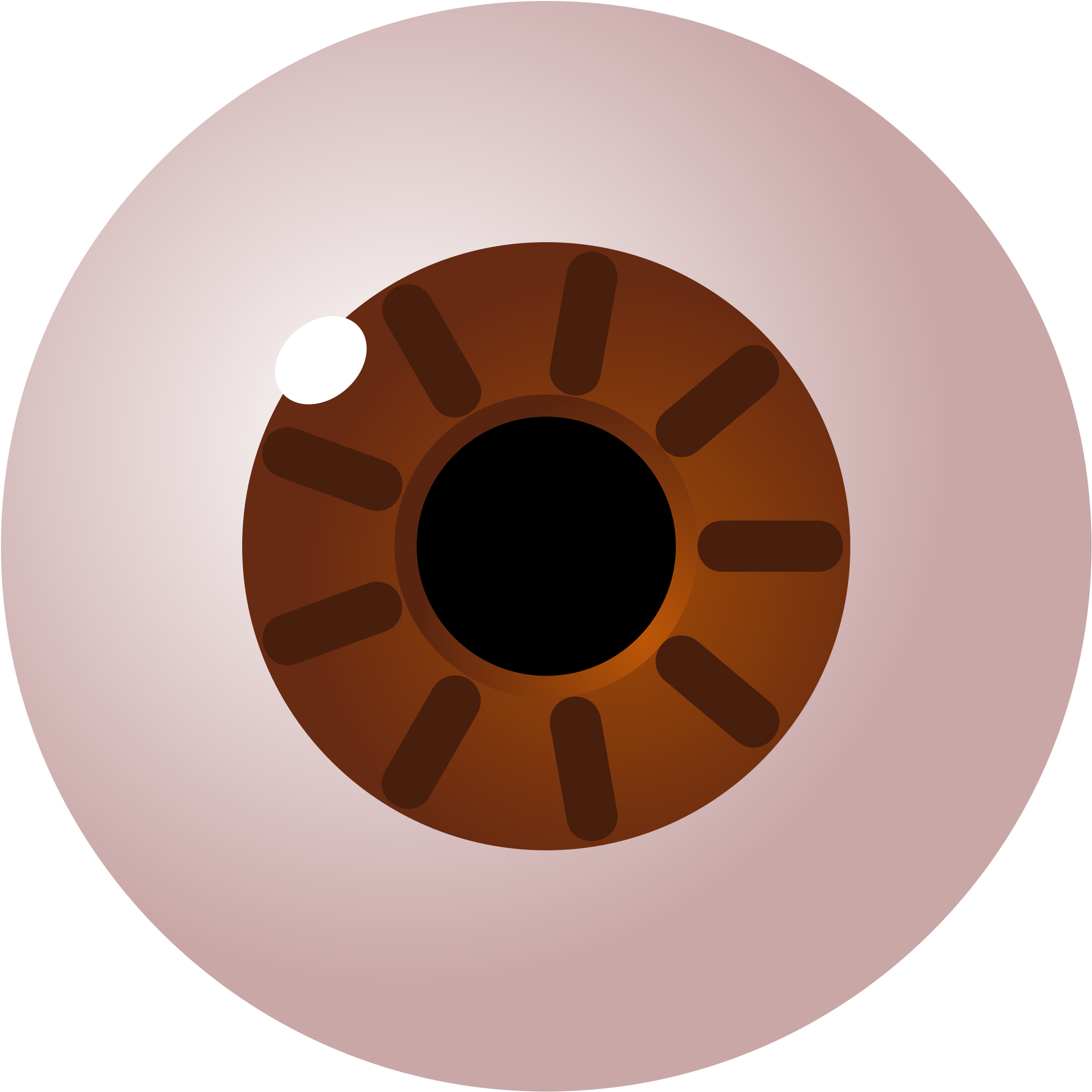 Big Image - Circle (2400x2400), Png Download