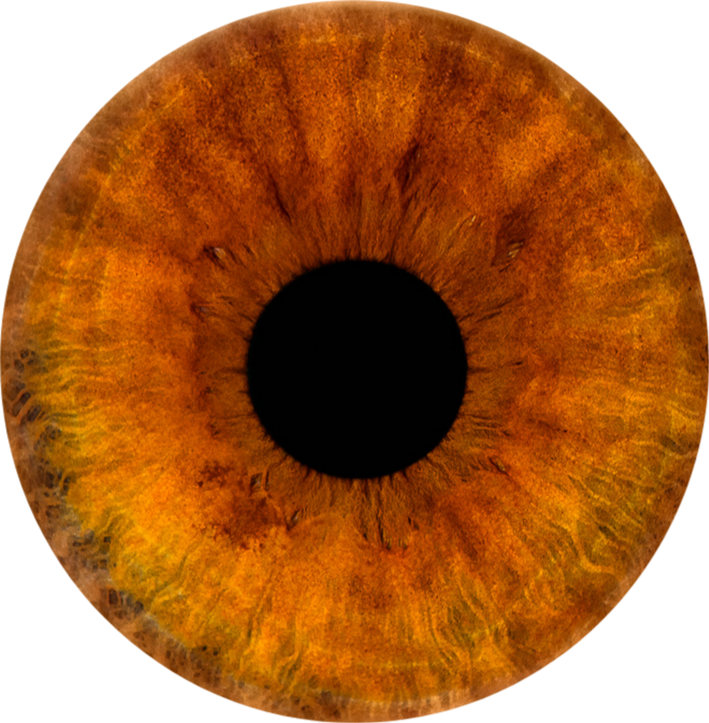 Brown Sticker - Circle (1024x1044), Png Download