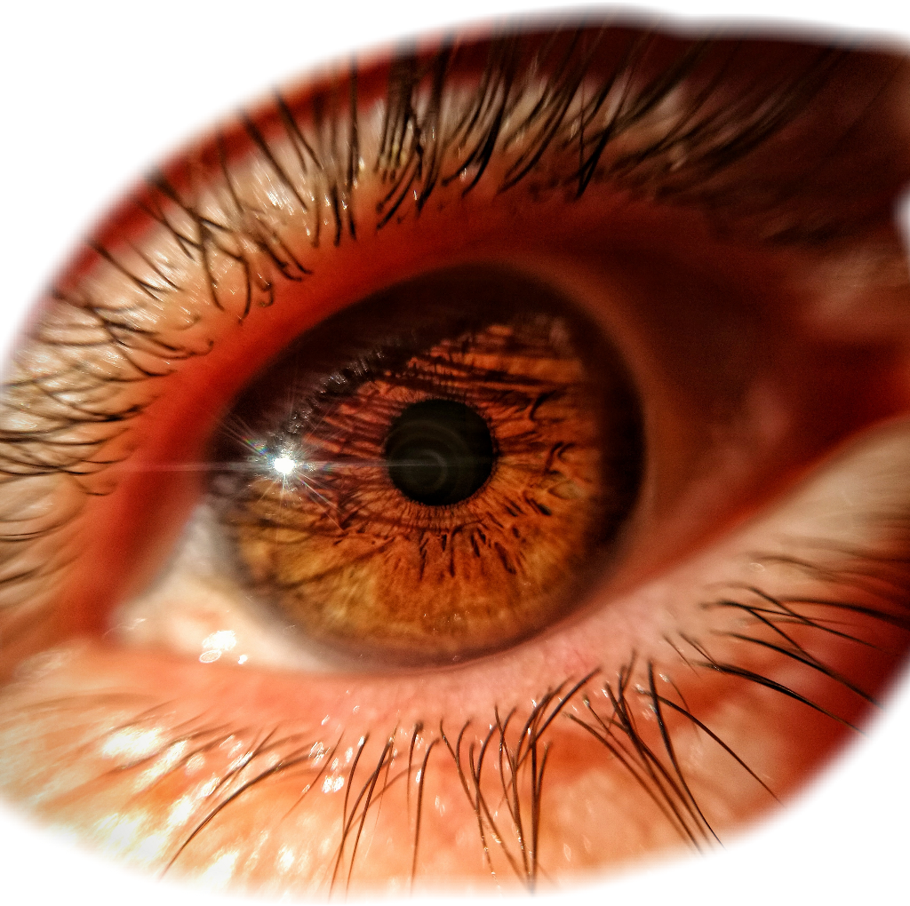 Close-up (1024x1020), Png Download