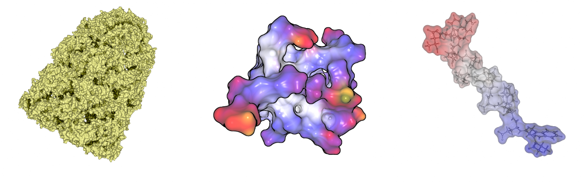 Combined With Our Fast Computation We Are Able To Render (1200x377), Png Download