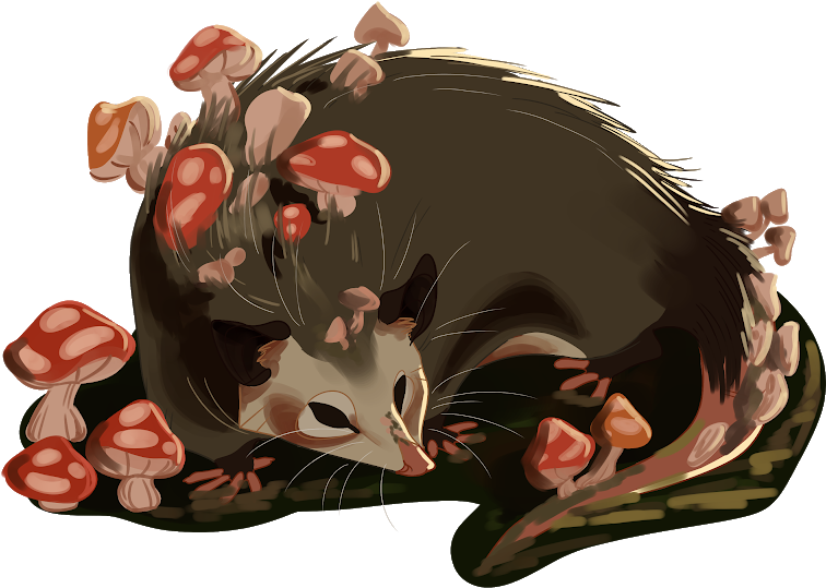 Mushroom Opossum - Illustration (1000x1000), Png Download