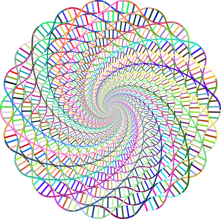Dna, Deoxyribonucleic Acid, Health, Molecules - Deoxyribonucleic Acid (726x720), Png Download