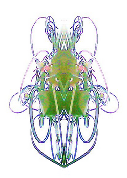 Nouveau Art Nouveau - Visual Arts (674x518), Png Download