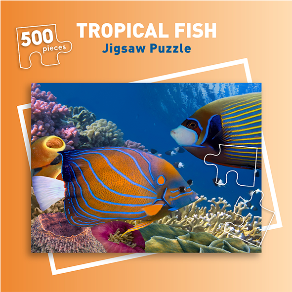 Shop (800x600), Png Download