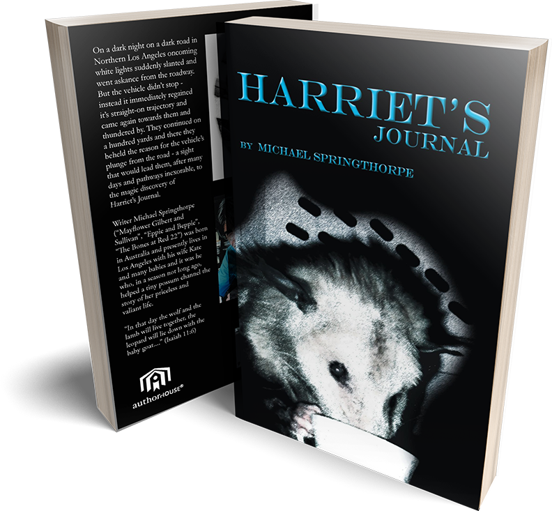 Harriet's Journal - Common Opossum (792x733), Png Download