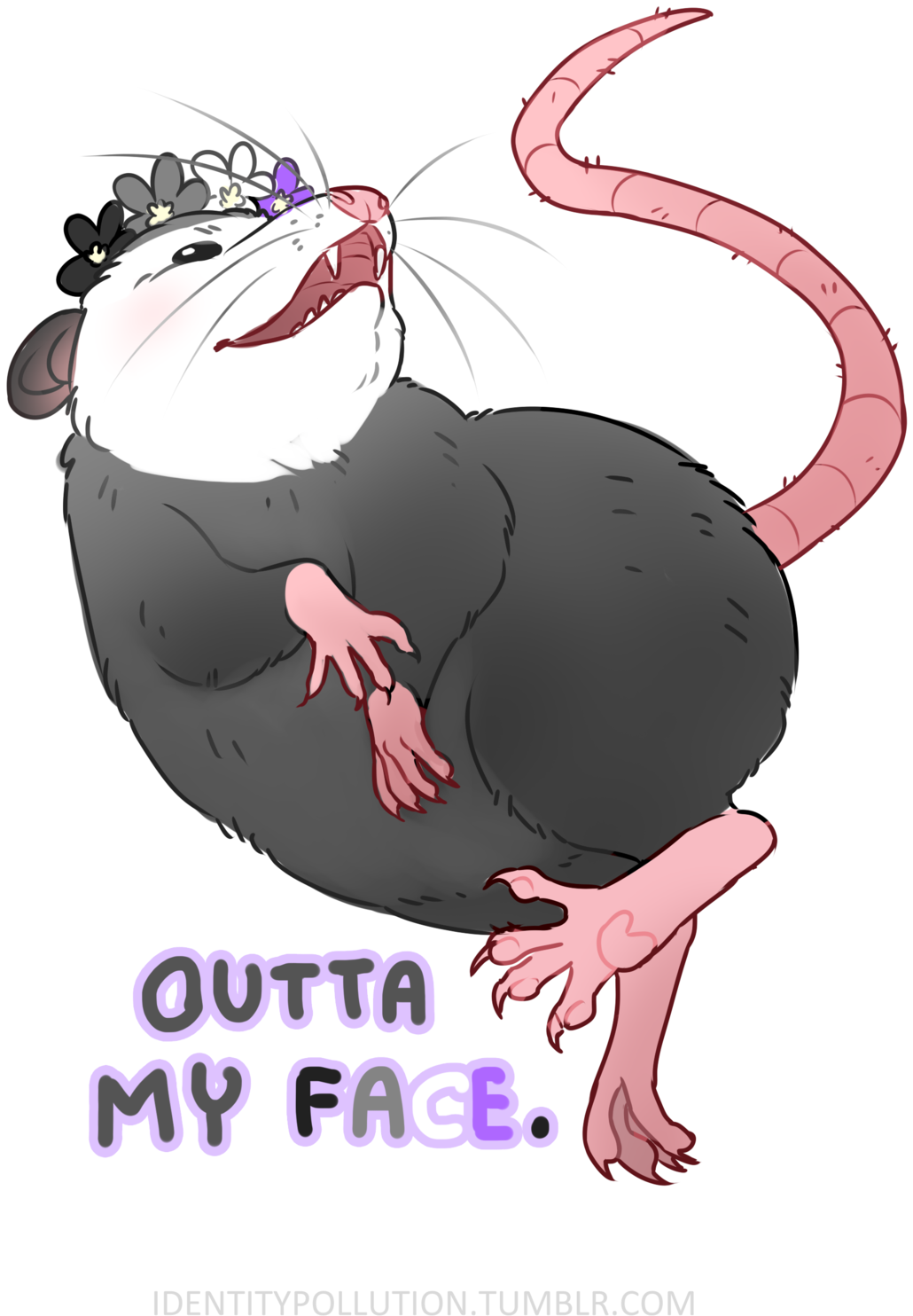 “today's Pride Opossum Of The Day Is Asexual Screw - Dog Catches Something (1280x1637), Png Download