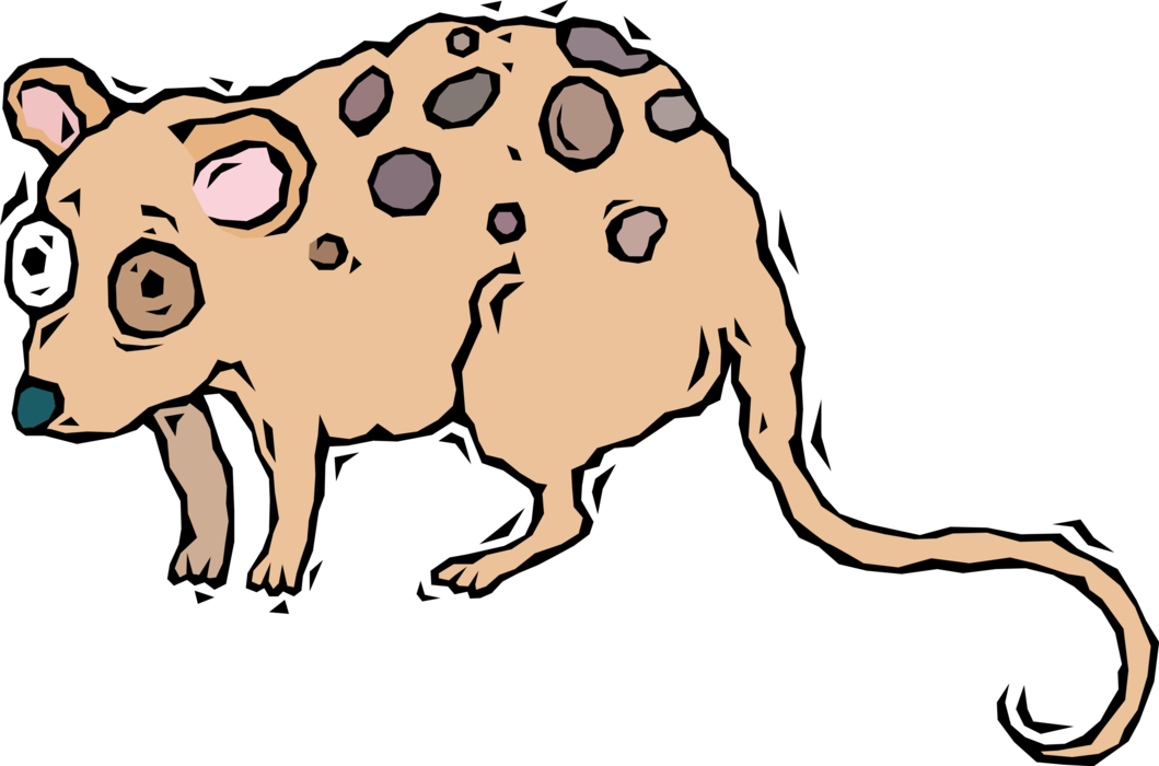 Vector Illustration Of Starry-eyed Opossum (1059x700), Png Download