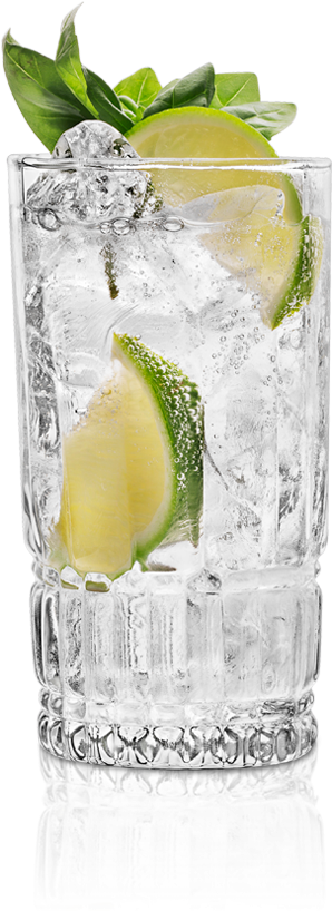 The St~germain Gin & Tonic - Mojito (580x829), Png Download