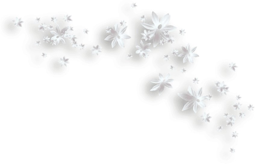 Free Png Download White Flowers Decorative Clipart - Flor Branca Em Png (850x573), Png Download