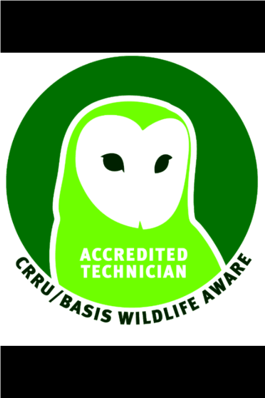 Killer Instinct Pest Control, Colchester - Graphic Design (800x800), Png Download