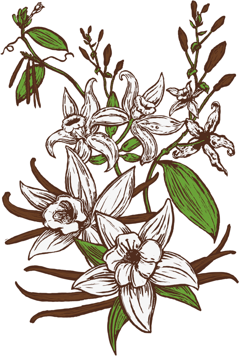 See All Beers - Jasmine (1260x1260), Png Download