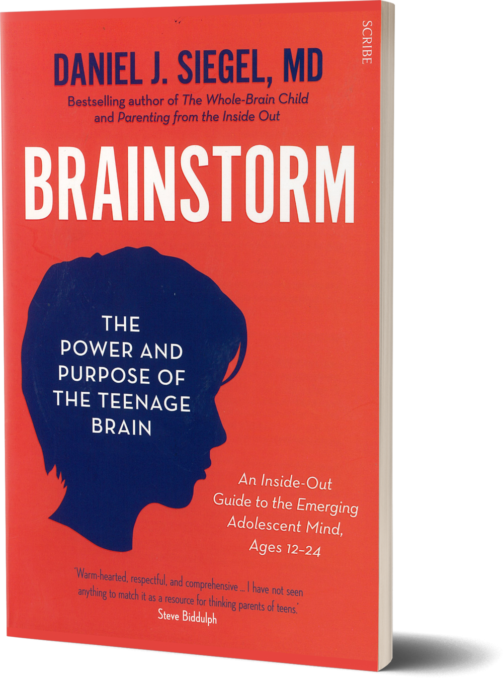Brainstorm- The Power And Purpose Of The Teenage Brain - Book Cover (1000x1348), Png Download