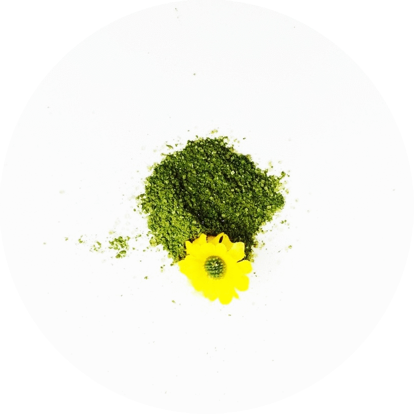 Organic French Vanilla - Tickseed (820x820), Png Download